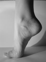 foot-2-1455183.jpg